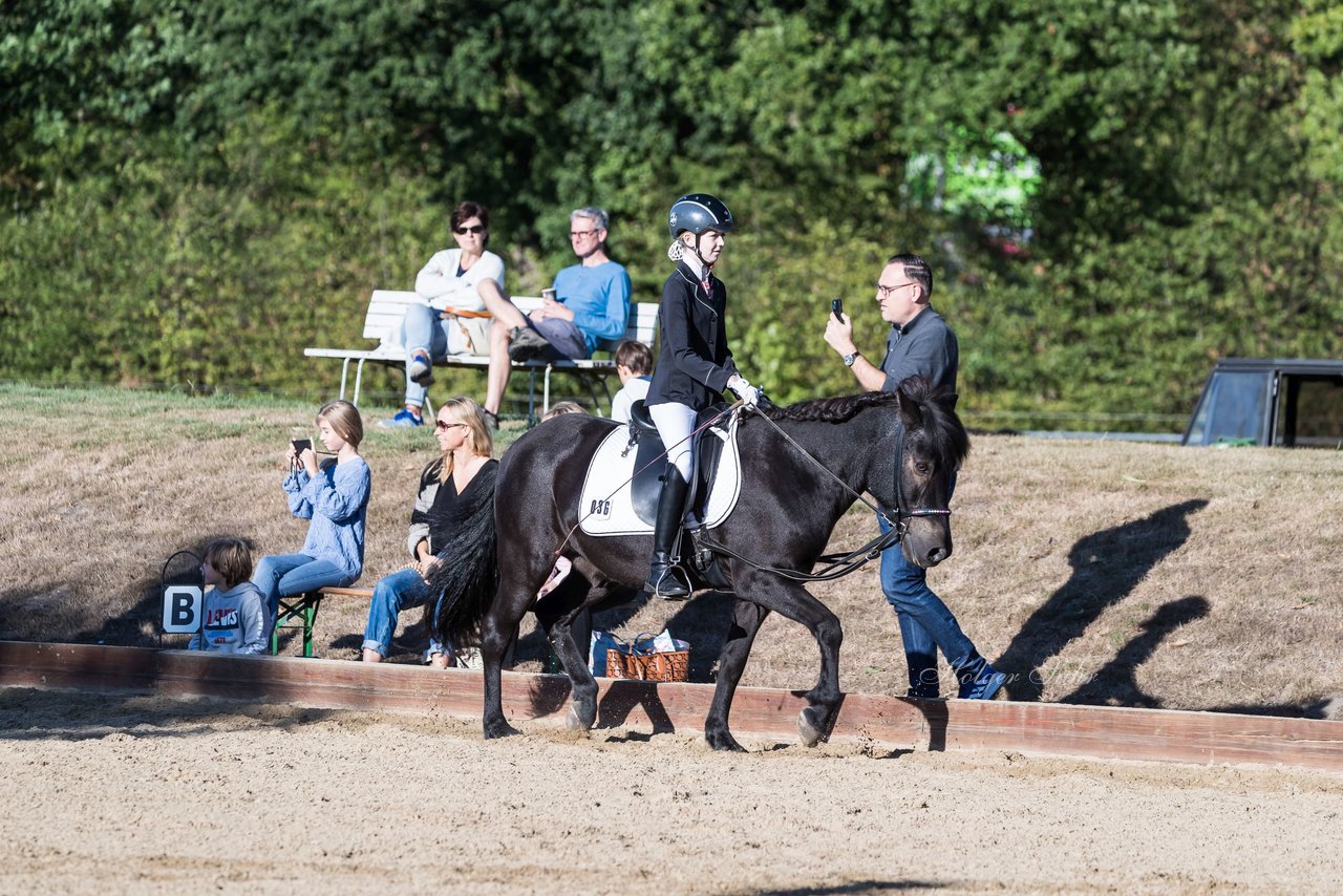 Bild 34 - Pony Akademie Turnier